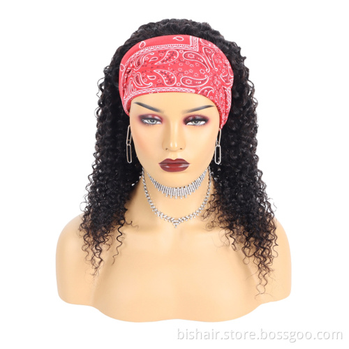 100% Human Hair Virgin Curly Wigs For Black Women Wigs Deep Curly Black Afro